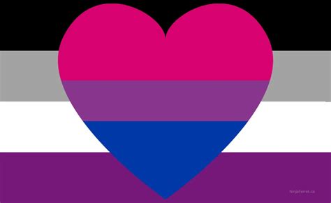 asexual biromantic|Asexuality, Attraction, and Romantic Orientation